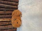 Jongch teddy zeugje, Dieren en Toebehoren, Cavia, Vrouwelijk, Tam, Oktober