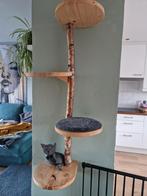 Krabpaal van echte boomstam, Dieren en Toebehoren, Krabmeubelen, Ophalen, Krabpaal