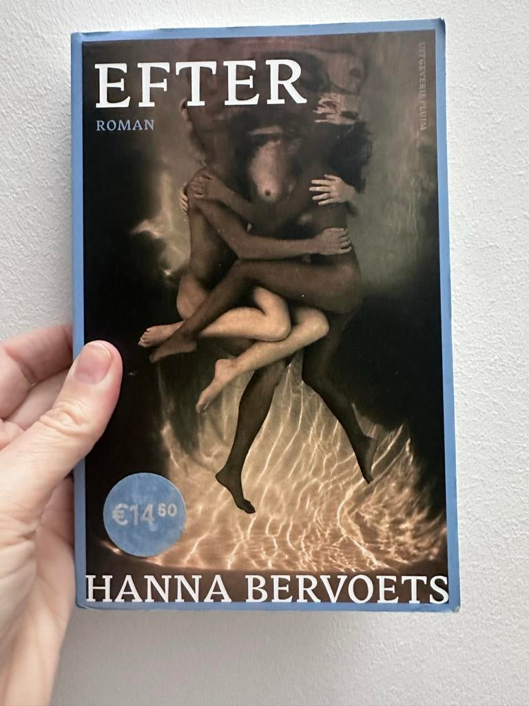 Efter - Hanna Bervoets Roman, Boeken, Ophalen of Verzenden, Zo goed als nieuw, Nederland