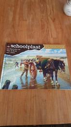 De Schoolplaat. Prentenboek nieuw!, Nieuw, W.K de Bruin en C. Jetses, Prentenboek, Ophalen of Verzenden