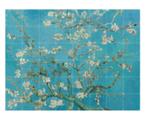 Ixxi Amandelbloesem Van Gogh - Groot Formaat, Huis en Inrichting, Woonaccessoires | Schilderijen, Tekeningen en Foto's, Oorspronkelijke maker