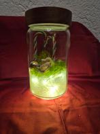 Kerstdecoratie in glazen pot, Diversen, Kerst, Ophalen, Nieuw