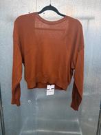 Masscob trui sweater xs wol alpaca top longsleeve, Ophalen of Verzenden, Zo goed als nieuw, Maat 34 (XS) of kleiner