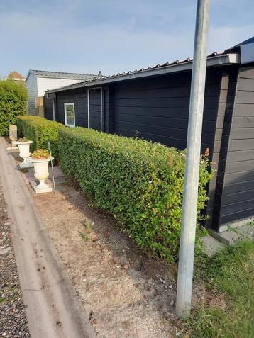 ‼️ Zeer ruime stacaravan/ chalet in zeeland‼️ beschikbaar voor biedingen