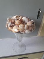 Schelpen in Vaas - 30cm, Overige kleuren, Ophalen of Verzenden, Minder dan 50 cm, Glas