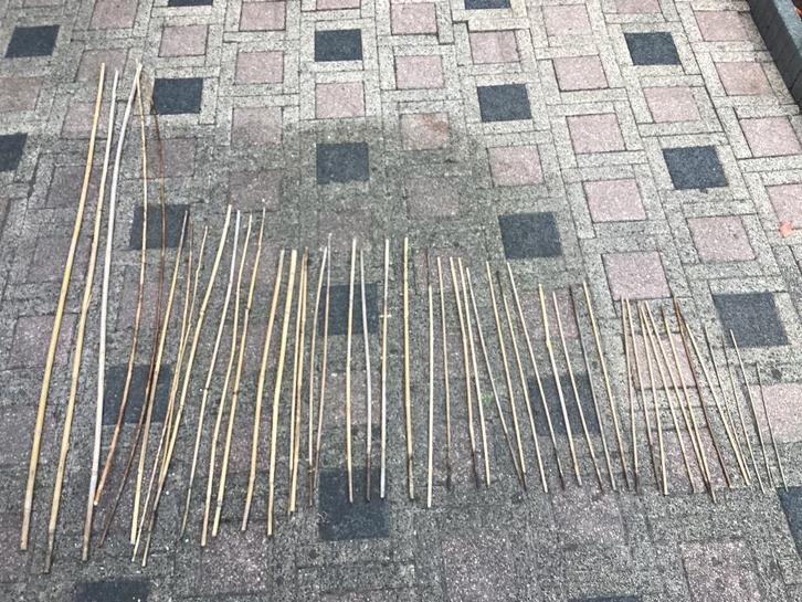 Bamboe stokken, Tuin en Terras, Kweekspullen, Overige typen, Ophalen of Verzenden