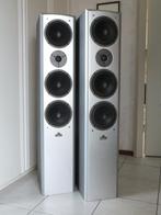 Magnat Vector 77 luidsprekers  zie tekst, Audio, Tv en Foto, Luidsprekers, Gebruikt, Magnat, Ophalen of Verzenden, 120 watt of meer