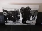 Schilderij foto op glas Olifanten savanne Afrika gloednieuw!, Huis en Inrichting, Woonaccessoires | Schilderijen, Tekeningen en Foto's