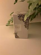 Lavanila Vanilla Sugarcane parfum 50ml, Sieraden, Tassen en Uiterlijk, Uiterlijk | Parfum, Ophalen of Verzenden, Zo goed als nieuw