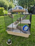 Hamsterkooi beige, Kooi, Gebruikt, Minder dan 75 cm, Ophalen