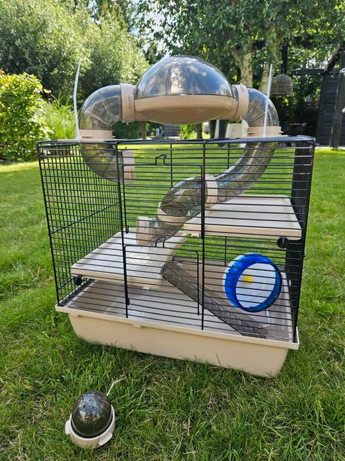 Hamsterkooi beige, Dieren en Toebehoren, Knaagdieren en Konijnen | Hokken en Kooien, Gebruikt, Kooi, Minder dan 60 cm, Minder dan 75 cm