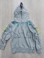 Dino trui 122, Ophalen of Verzenden, Zo goed als nieuw, Jongen, Trui of Vest