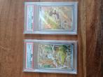 PSA 10 Meowth #192 & Paldean Wooper #193, Ophalen of Verzenden, Nieuw