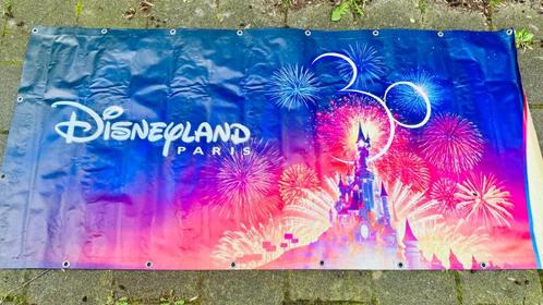 Grote Tuin / Poster van zeil Disneyland Parijs 30 jaar, Verzamelen, Disney, Gebruikt, Plaatje of Poster, Overige figuren, Verzenden