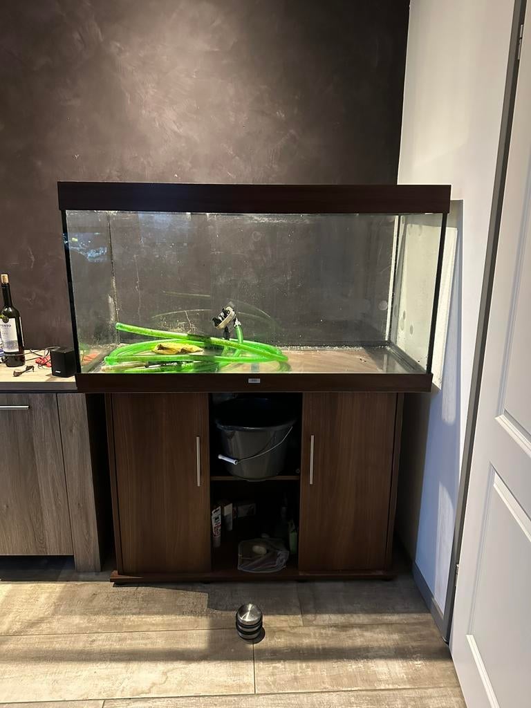 Juwel rio 350 (lees beschrijving), Ophalen, Gebruikt, Leeg aquarium