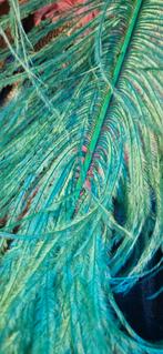 Ostrich herl stuisvogel veren, Ophalen of Verzenden, Nieuw, Overige typen