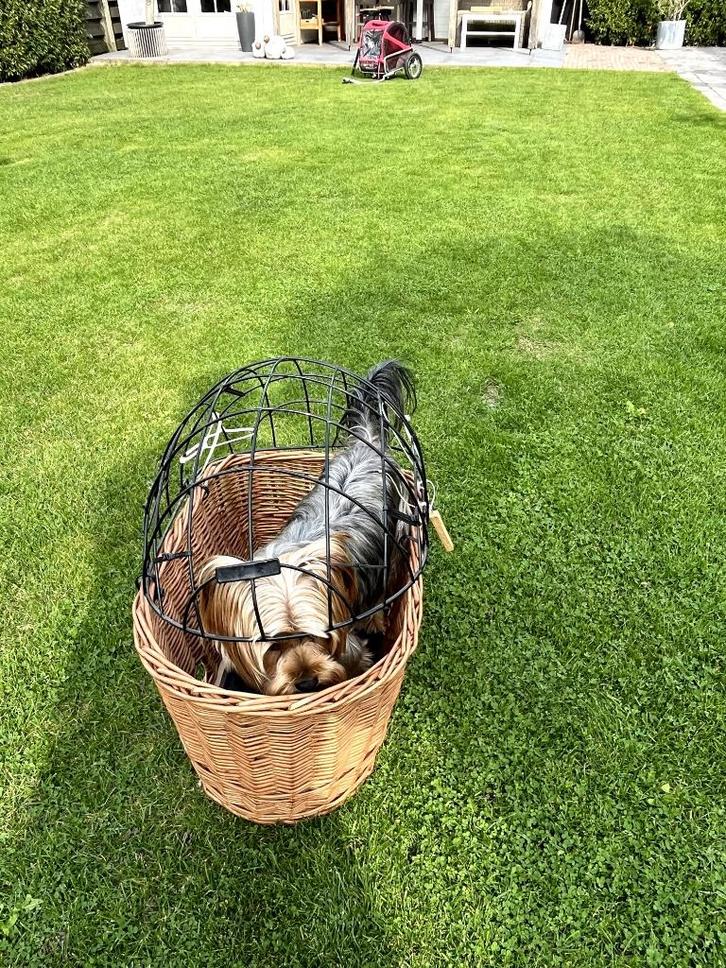 fiets hondenmandje, Dieren en Toebehoren, Hondenmanden, Nieuw, Riet, Ophalen of Verzenden