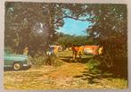 Camping Julianahoeve, Renesse, Ophalen of Verzenden, 1960 tot 1980, Ongelopen, Zeeland
