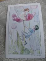Medici Society Kaart / M Tarrant - Tulp Fairy, Verzamelen, Ansichtkaarten | Themakaarten, Verzenden, 1980 tot heden, Ongelopen