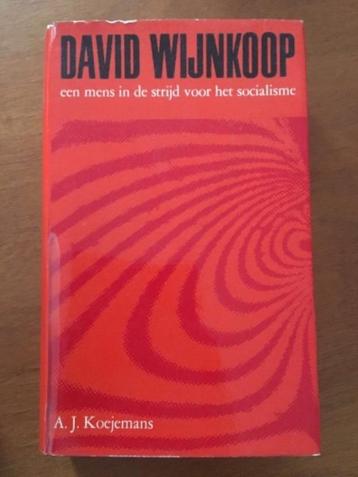 David Wijnkoop- Een mens in de strijd voor het socialisme beschikbaar voor biedingen