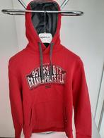 Hoodie maat 176, Kinderen en Baby's, Kinderkleding | Maat 176, Ophalen of Verzenden, Zo goed als nieuw, Jongen of Meisje, Trui of Vest