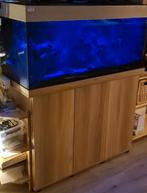 Juwel aquarium RIO180 & meubel in perfecte staat, Dieren en Toebehoren, Ophalen, Zo goed als nieuw, Leeg aquarium