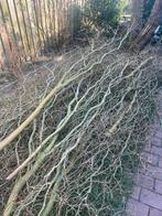 Paastakken, Diversen, Pasen, Ophalen, Zo goed als nieuw