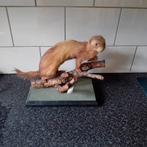 Geprepareerde Bunzing op Tak, Antiek en Kunst, Curiosa en Brocante, Ophalen of Verzenden