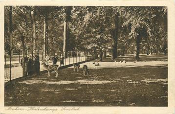 (387-162-007) Arnhem Hertenkamp beschikbaar voor biedingen