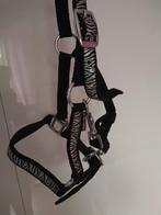 Halster voor mini paardje of veulentje, Dieren en Toebehoren, Ophalen of Verzenden, Zo goed als nieuw, Overige soorten