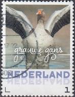 Nederland- Persoonlijke- Natuur- Vogels- Grauwe Gans- G, Verzenden, Na 1940, Gestempeld