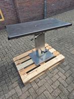 RVS behandeltafel voor dieren, Ophalen of Verzenden, Zo goed als nieuw, Rechthoekig, Hout