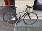 damessportfiets Wilier, Fietsen en Brommers, Overige merken, 26 inch, 15 tot 20 versnellingen, Zo goed als nieuw