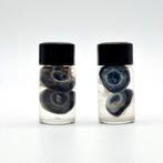 Oogbollen op sterk water, Ophalen of Verzenden, Nieuw, Vogel, Overige typen