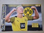 Poster Erling Haaland Borussia Dortmund, Verzamelen, Sportartikelen en Voetbal, Ophalen of Verzenden, Zo goed als nieuw