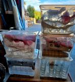 Feestje? Huren is duurder: Diverse Glazen - 1x Gebruikt, Ophalen, Gebruikt