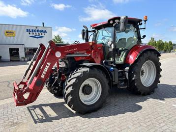 Case Maxxum 145 CVX + Stoll Profiline FZ 45.1 2017 beschikbaar voor biedingen