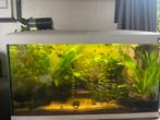 Trofis 80cm aquarium, Dieren en Toebehoren, Ophalen, Gebruikt, Leeg aquarium