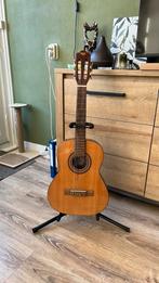 Mooie Kinder Lesgitaar!, Muziek en Instrumenten, Ophalen, Zo goed als nieuw, Klassieke of Spaanse gitaar