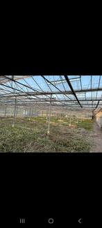 1000m2 kas te koop 20x50, Tuin en Terras, Kassen, Ophalen, Glas, Gebruikt, Aluminium