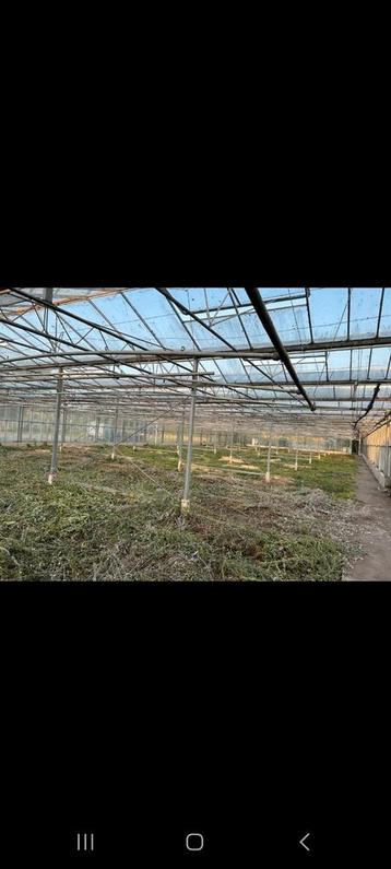 1000m2 kas te koop 20x50  beschikbaar voor biedingen