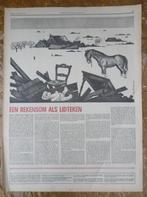 De (gevolgen van de) Ramp 1953 (div. kranten katerns/knipsel, Ophalen of Verzenden, Nederland, Knipsel(s)