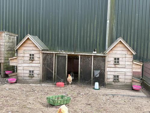 Methorst kippenhok dubbel groot XL met zadeldak, Dieren en Toebehoren, Pluimvee | Toebehoren, Gebruikt, Kippenhok of Kippenren