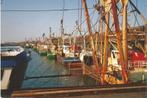 IJmuiden visserij volle haven ca 1980, Verzenden, Nieuw, Kaart, Foto of Prent