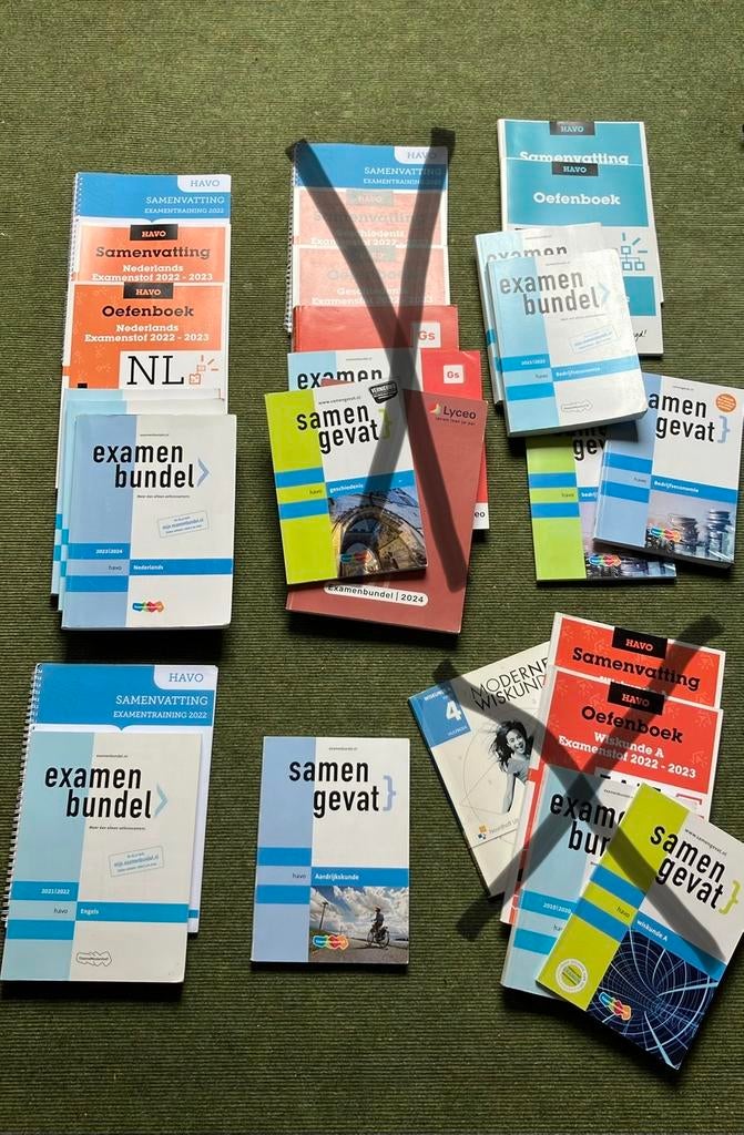 Examenbundels havo: NE, EN, Boeken, Schoolboeken, Ophalen of Verzenden, Gelezen, HAVO, Engels