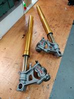 Ohlins Voorvorkpoten Aprilia Tuono V4 Factory 2017-2020, Ophalen of Verzenden, Gebruikt