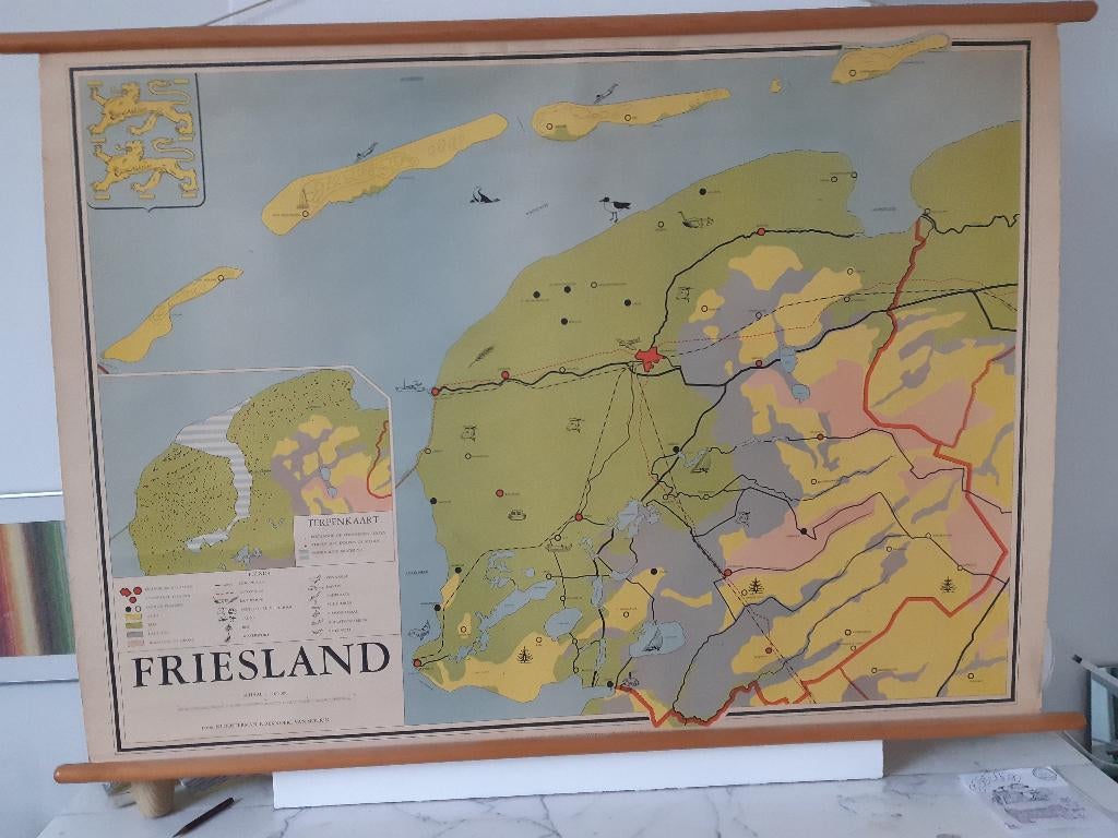 Zeldzame schoolplaat provincie Friesland, Antiek en Kunst, Antiek | Schoolplaten, Ophalen, Aardrijkskunde