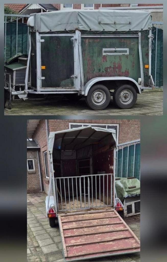 Leuke vee trailer, Dieren en Toebehoren, Meerdere dieren, Schaap