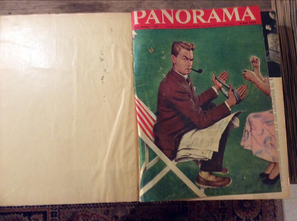 Ingebonden jaargangen Panorama uit 1955, Boeken, Ophalen, Gelezen, Overige typen