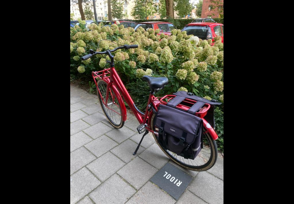 Pointer Spectra sportsline - met voordrager en fietstassen, Gebruikt, Velgrem, Versnellingen, 50 tot 53 cm